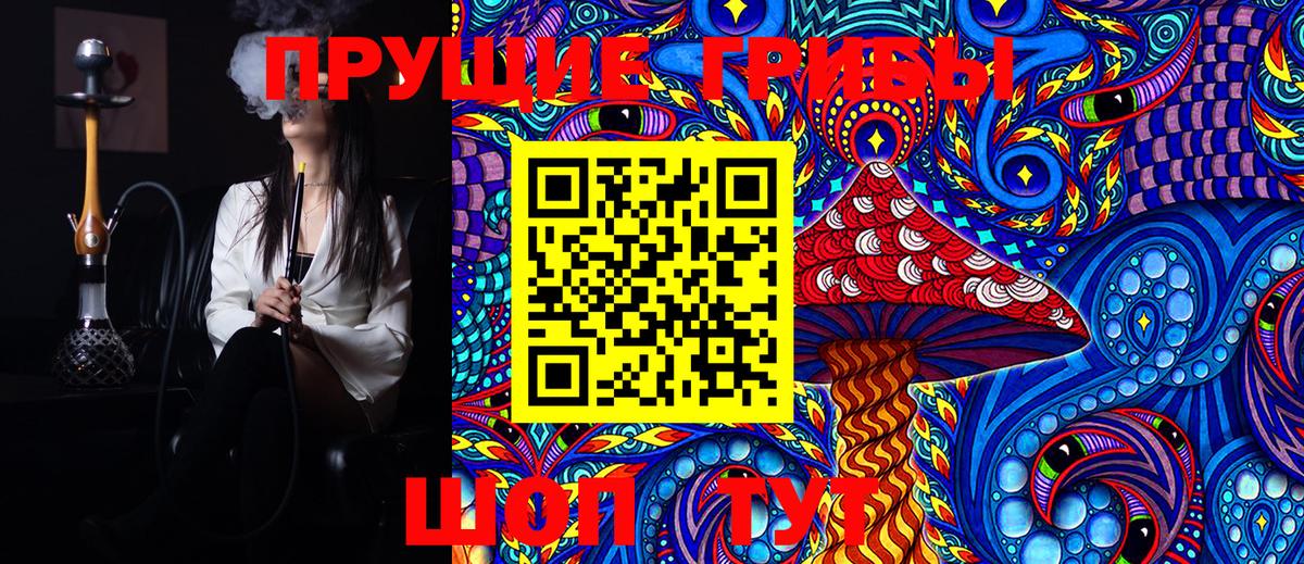 Курчатов  Галлюциногенные грибы MAGIC MUSHROOMS  Вход с VPN 