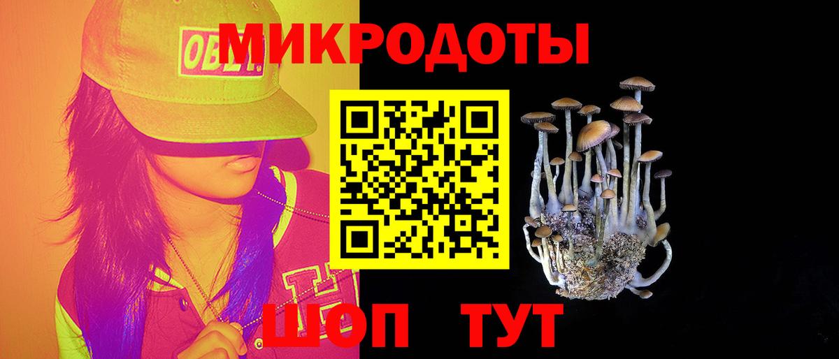 Галлюциногенные грибы Magic Shrooms Курчатов